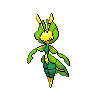 runerigus